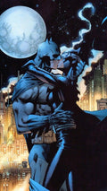 Frazada Batman Y Catwoman Beso Liso