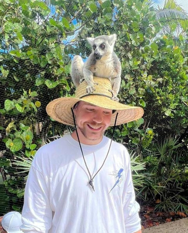 Frazada Mr Beast Con Animalito Liso