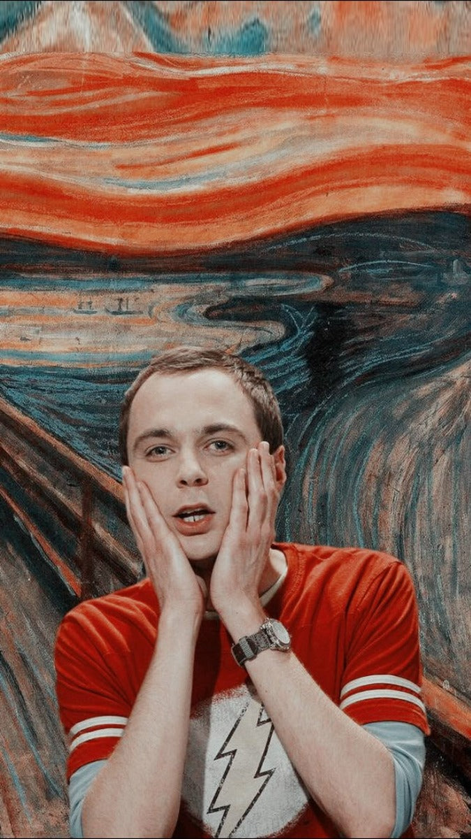 Frazada Tbbt Sheldon Obra De Arte Liso