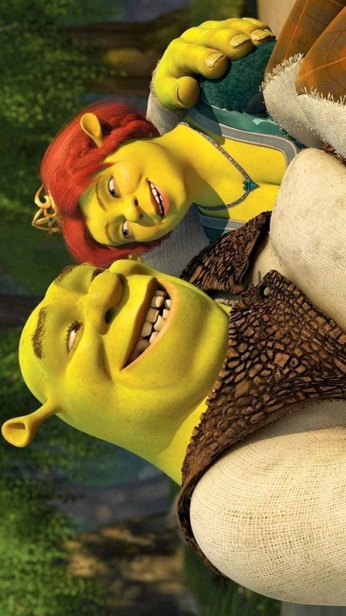 Frazada Shrek Y Fiona Disney Liso