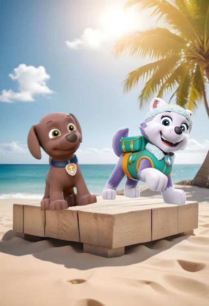 Frazada Paw Patrol Everest Zuma Liso