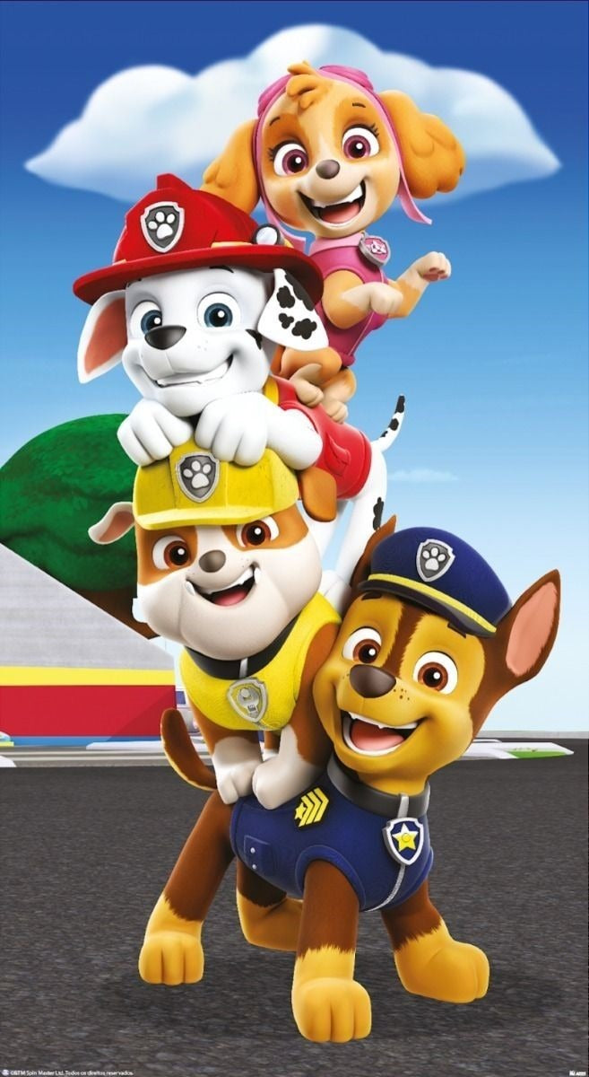 Frazada Paw Patrol Arriba Chase Liso