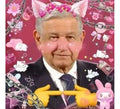 Frazada Amlo Diseño Ilustrado Simple   Elige tu tamaño G Modelo 7