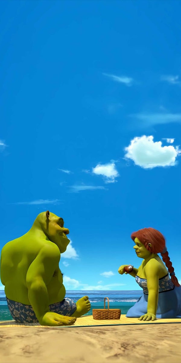 Frazada Shrek Y Fiona En La Playa Liso