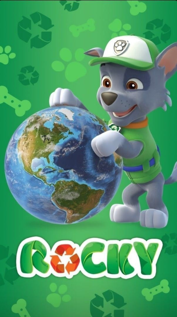 Frazada Paw Patrol Rocky Liso