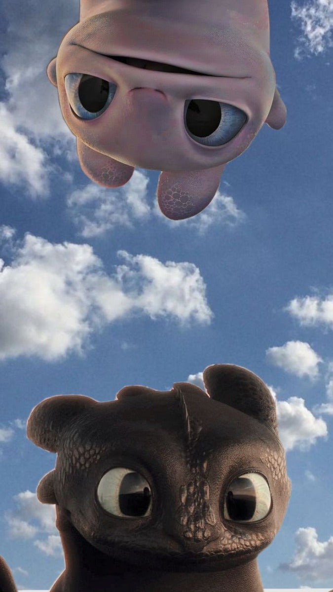 Frazada Entrenando A Tu Dragon Disney Liso